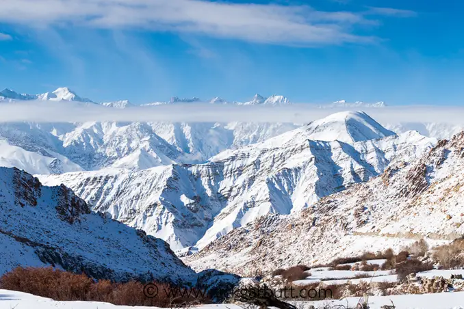 Snow Leopard Valley 678px X 452px