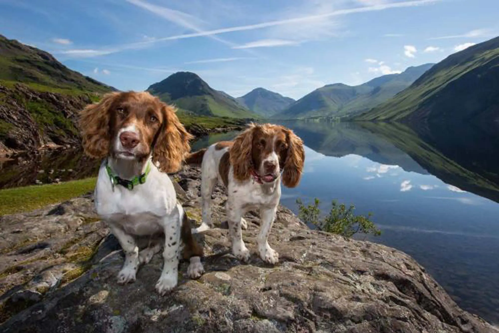 Max And Paddy Picture Kerry Irving 2000px 1333px Paramo Sponsores The Great Ambleside