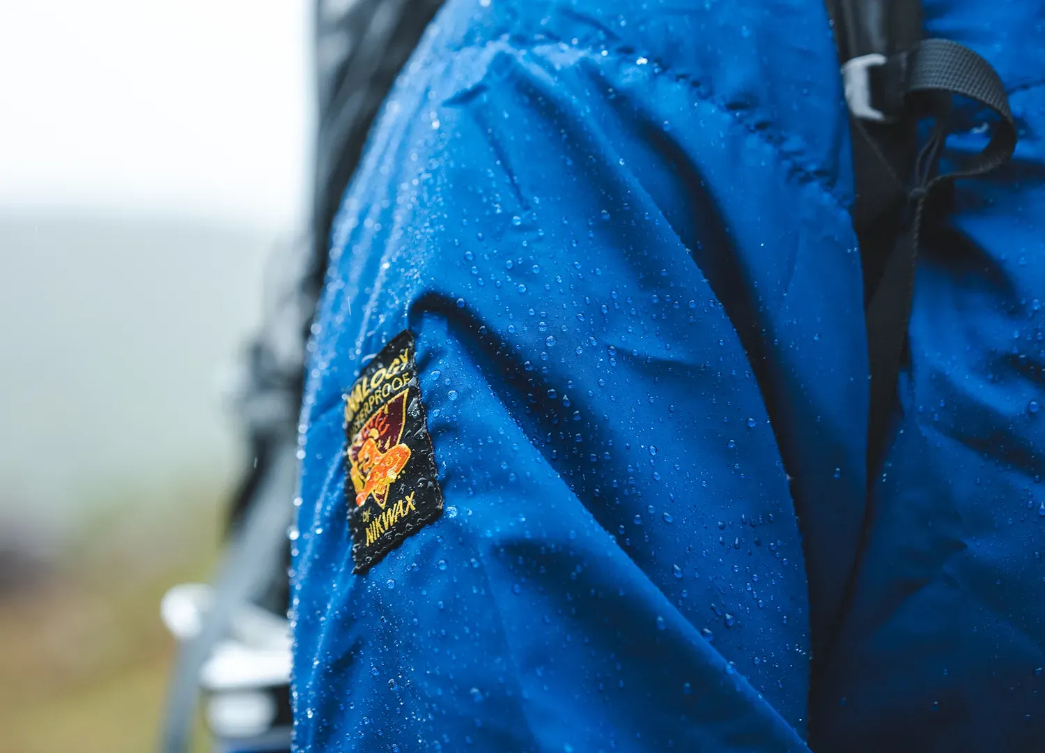 Paramo137
