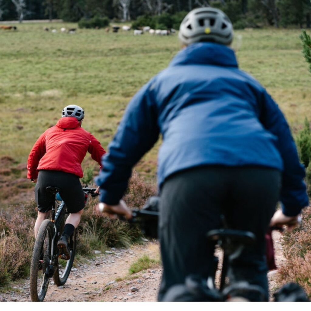 Man and woman cycling down a stony path towards a cow field